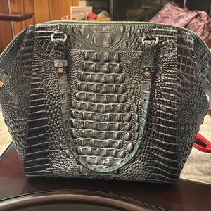 Brahmin large purse bluish green